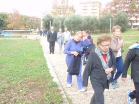 Proseguono i Gruppi di Cammino